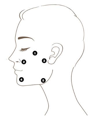 Your go to booklet / guide for Skin Boosters!